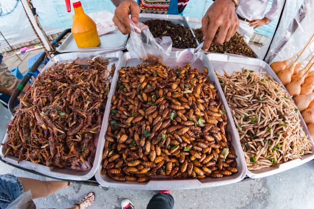Smażone insekty sprzedawane z wózka w Bangkoku